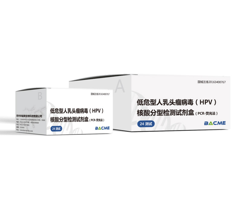 低危型人乳頭瘤病毒（HPV）核酸分型檢測試劑盒（PCR-熒光法）